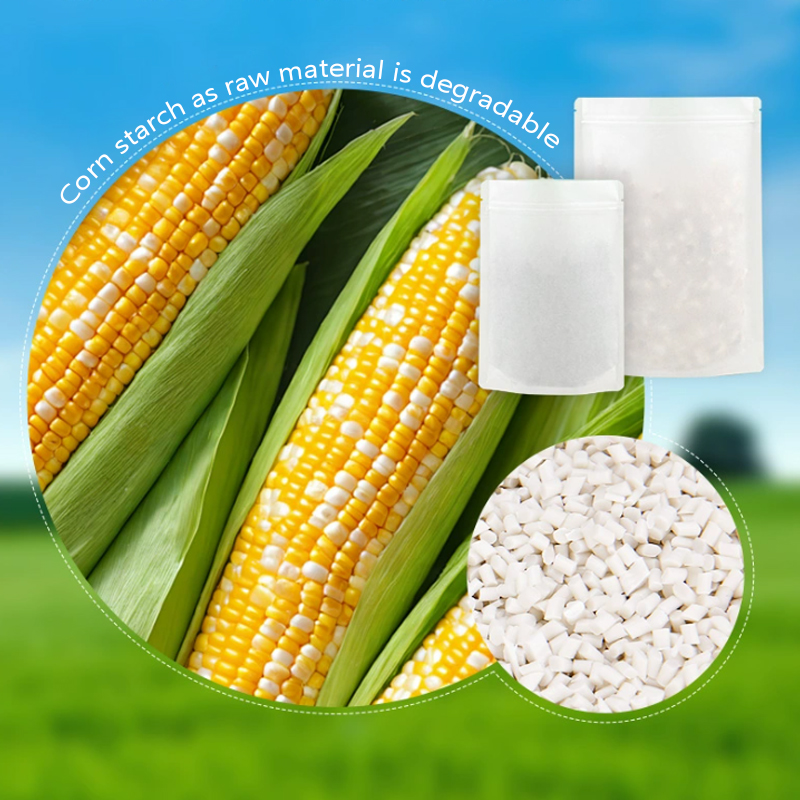 Personalizowane, biodegradowal – Zebra Food Storage recenzja i cena